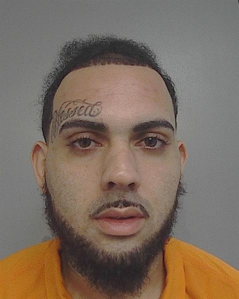 Booking photo - LIAM ROLAND NICHOLSON - Osceola, Florida