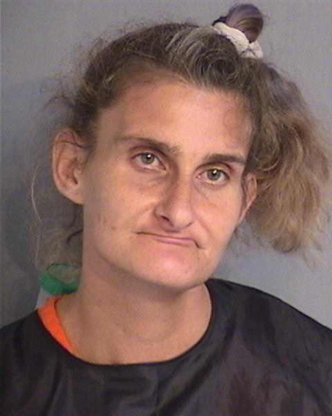 Booking photo - COURTNEY MARIE HILL - Osceola, Florida