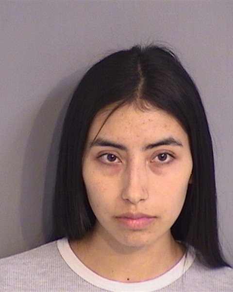 Booking photo - LUISA CARDENAS-TORRES - Osceola, Florida