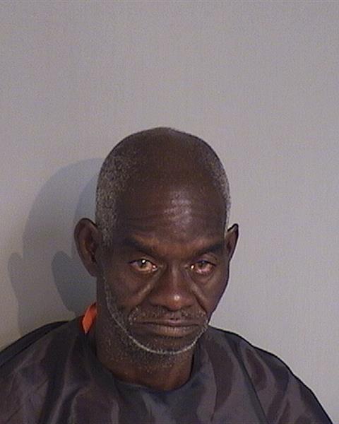 Booking photo - MICHAEL LEONARD WILLIAMS - Osceola, Florida