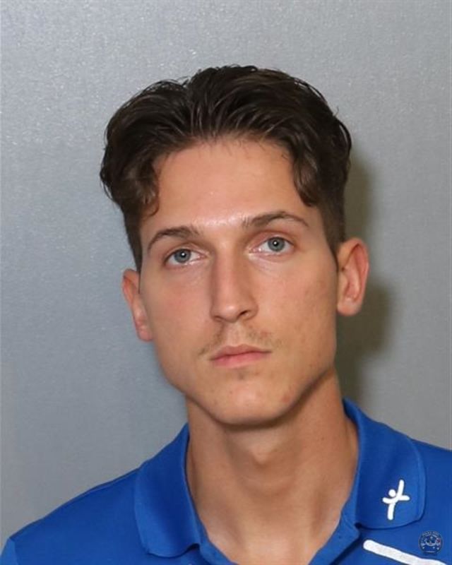 Booking photo of DARIY NICK SKLYAR