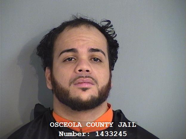 Booking photo - BILLY NIXON DEMICHELE-CASTANEDA - Osceola, Florida