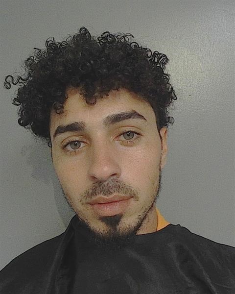 Booking photo - RYAN ALEXIS DIAZ-ROBLES - Osceola, Florida