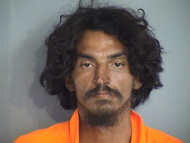 Booking photo of JOHNNY PUJOL