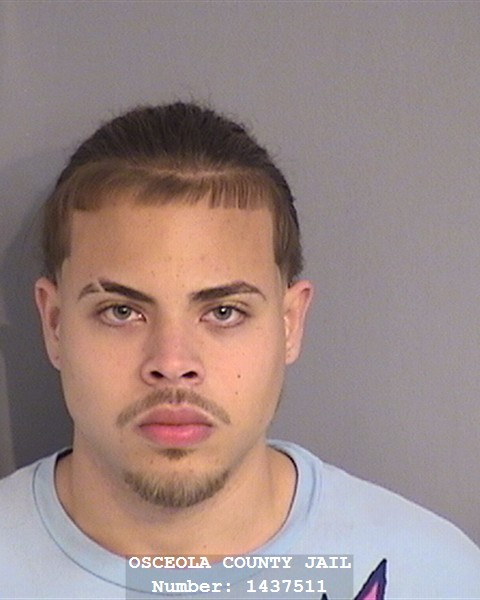 Booking photo of BRYAN ROMAN-PAGAN