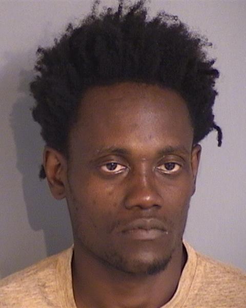 Booking photo - RUBENS DESSOURCES - Osceola, Florida