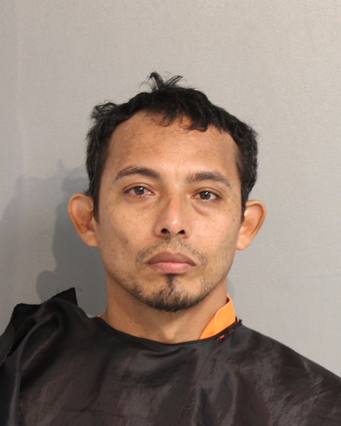 Booking photo - JORGE ERNESTO GUTIERREZ-NELO - Osceola, Florida