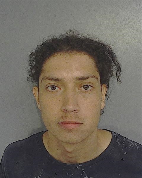 Booking photo - MATEO STEVEN RAMIREZ-PERALTA - Osceola, Florida