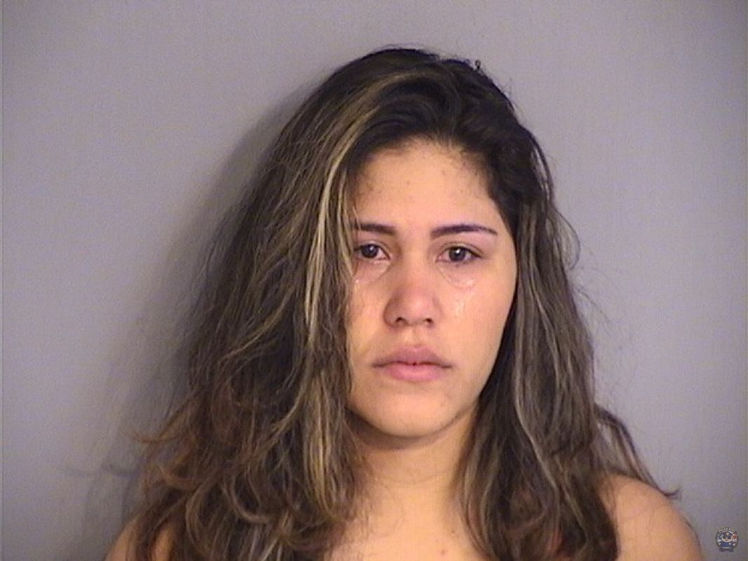 Booking photo of FEBE BRICENO-GONZALEZ