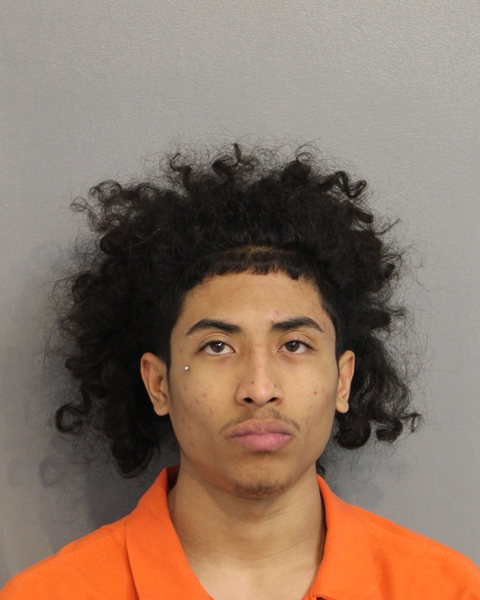 Booking photo of JOVANI DELCARMEN