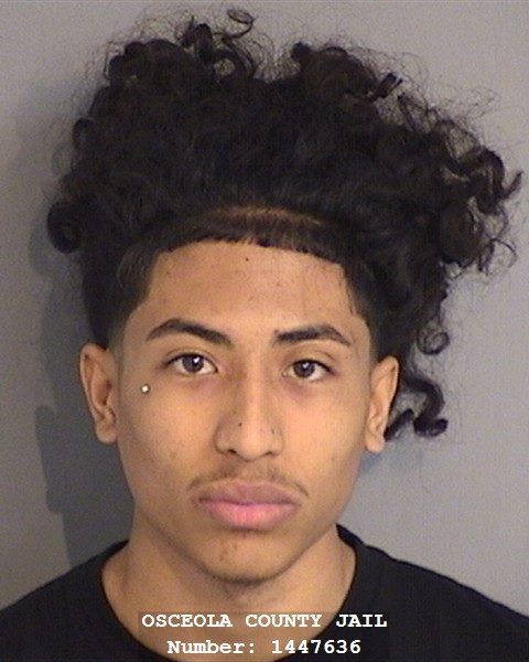 Booking photo - JOVANI DELCARMEN - Osceola, Florida