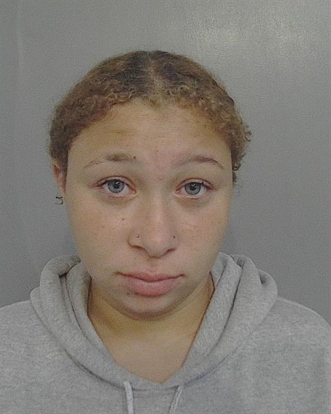 Booking photo - MICHELLE PEGGY GUILLOU - Osceola, Florida