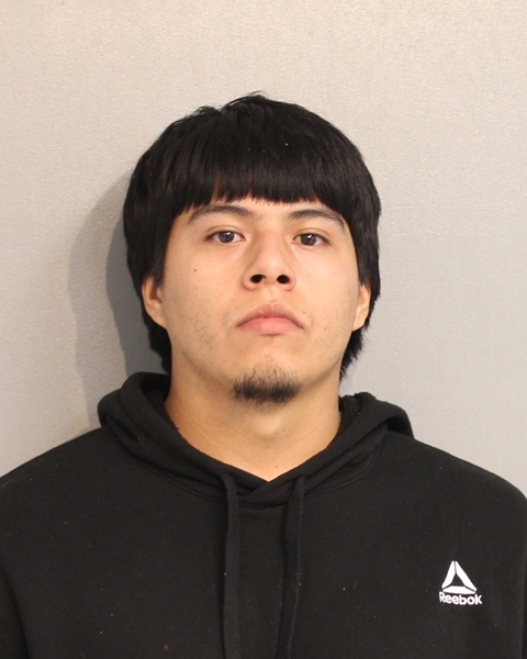 Booking photo of HERAMILL ALEGRE