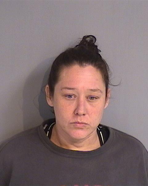 Booking photo - LISA MARIE BERTENSHAW - Osceola, Florida