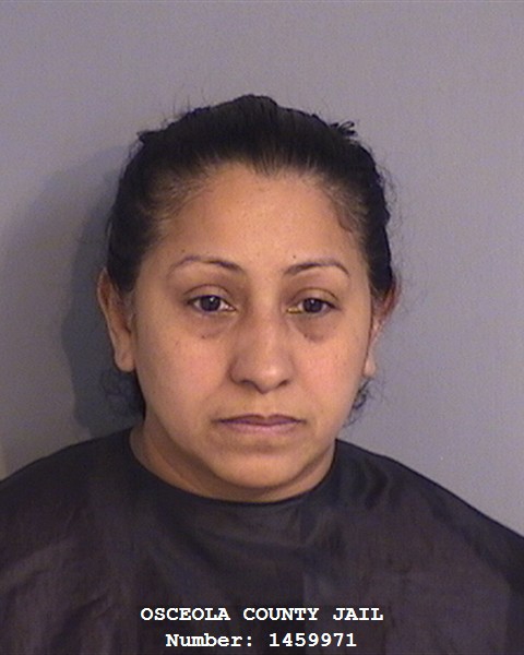 Booking photo - NAILETH REINOSO-CONTRERAS - Osceola, Florida