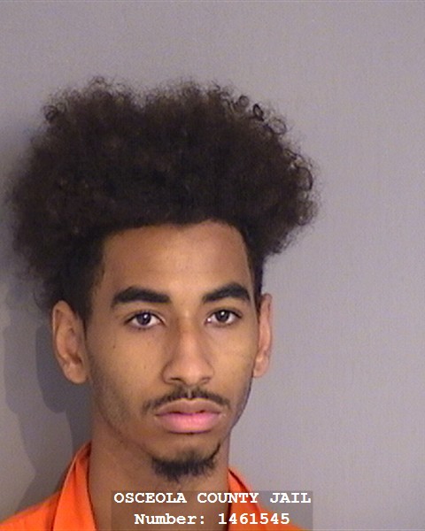 Booking photo - JOSE MONTALVO - Osceola, Florida