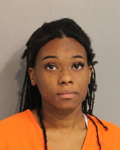 Booking photo of LARA ALEXANDRE