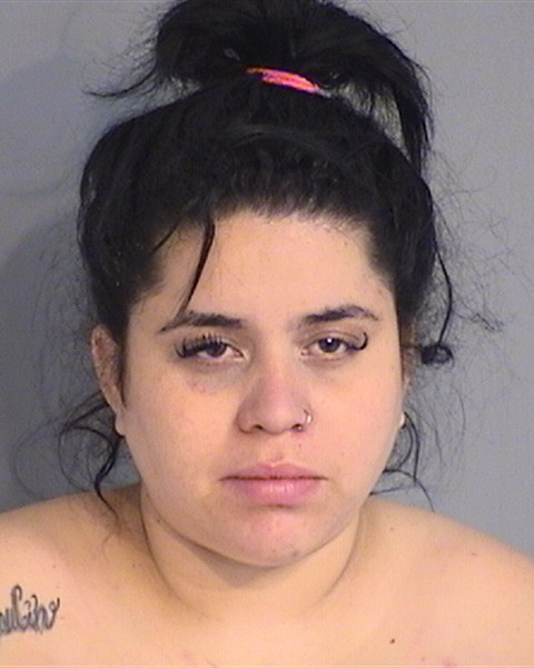 Booking photo - YOULIN DIAZ-AVELLANEDA - Osceola, Florida