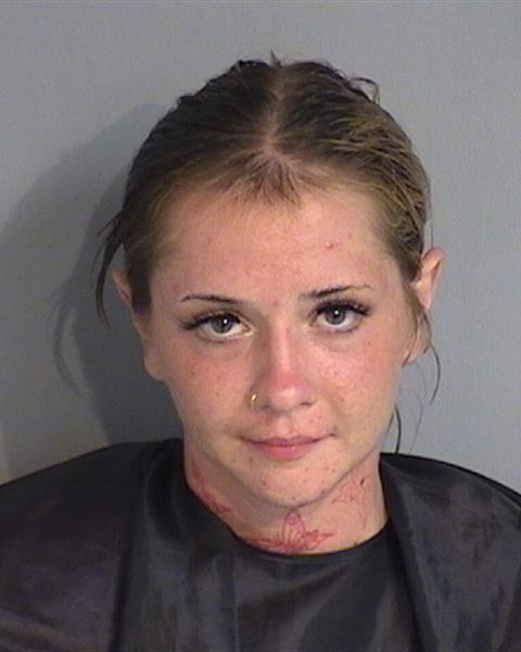 Booking photo - VANESSA LYNN LAPORTE - Osceola, Florida