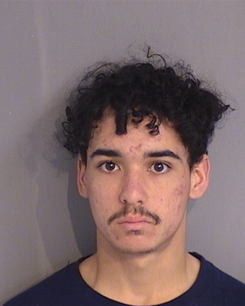 Booking photo of BRANDON SEGARRA