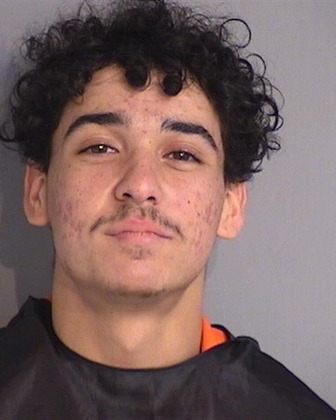 Booking photo of BRANDON ADRIAN SEGARRA