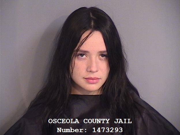 Booking photo of MARKENIA ELIMAR SANCHEZ-ALVAREZ