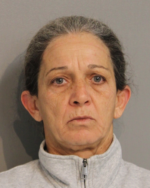 Booking photo of HILDA NEGRON-SANTIAGO