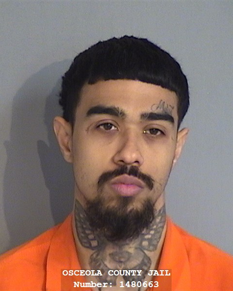 Booking photo - RAPHAEL MANZANET - Osceola, Florida