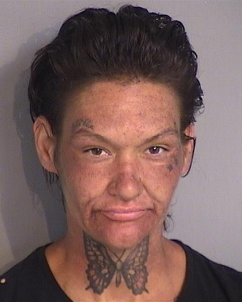 Booking photo - BRIDGETTE ANN DEROCHE - Osceola, Florida