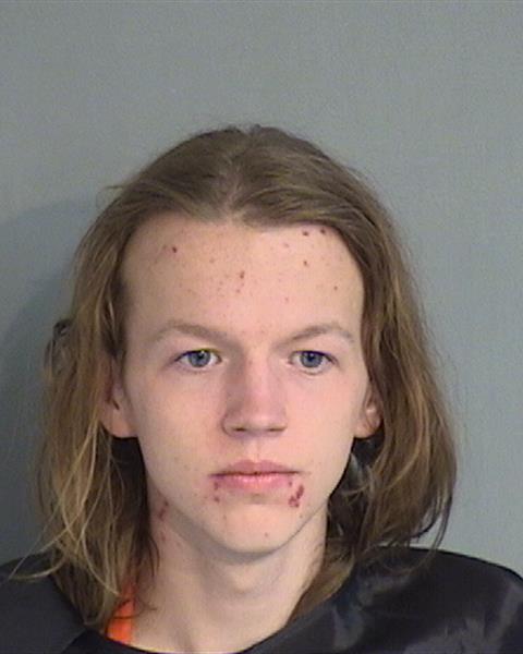 Booking photo - LUKAS EDWARD WEBER - Osceola, Florida