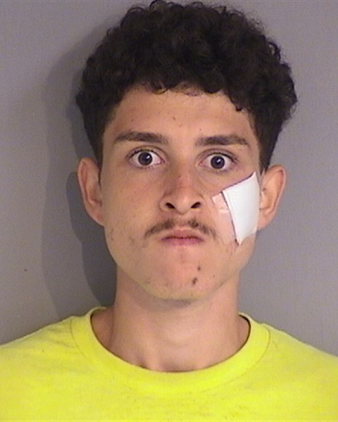 Booking photo - NELSON NICOLAAS - Osceola, Florida