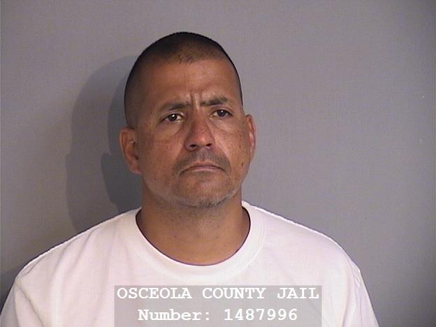 Booking photo - KALONY ARMANDO DURAN - Osceola, Florida