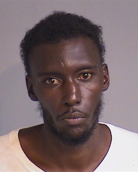 Booking photo - DOMINICK ANDREW-DASHAAN EDWARD - Osceola, Florida