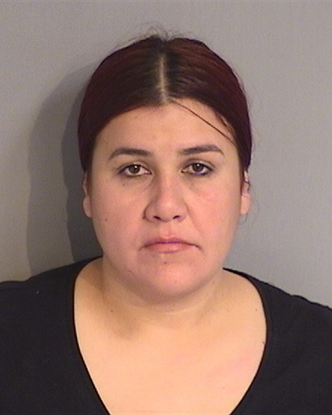 Booking photo of DAYANA AVILA-ACEVEDO