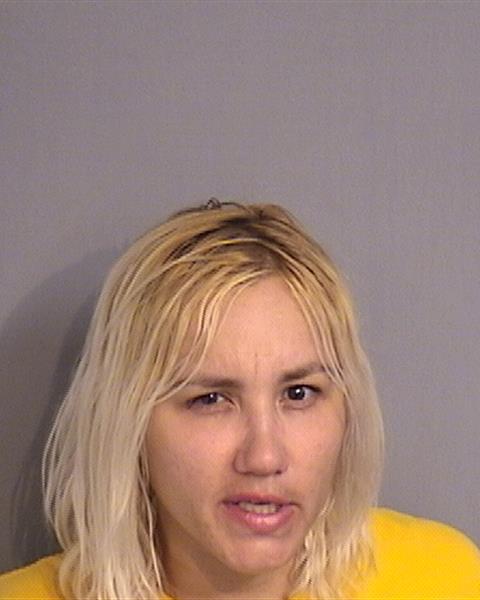 Booking photo - BEATRIZ MATOS - Osceola, Florida