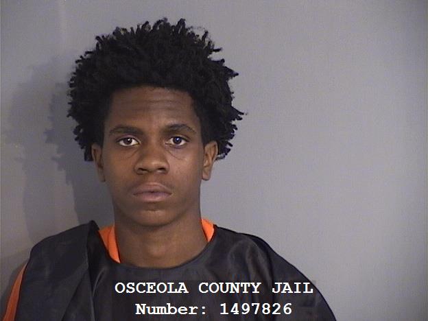 Booking photo - CHAD EDWARD LUDDEN - Osceola, Florida