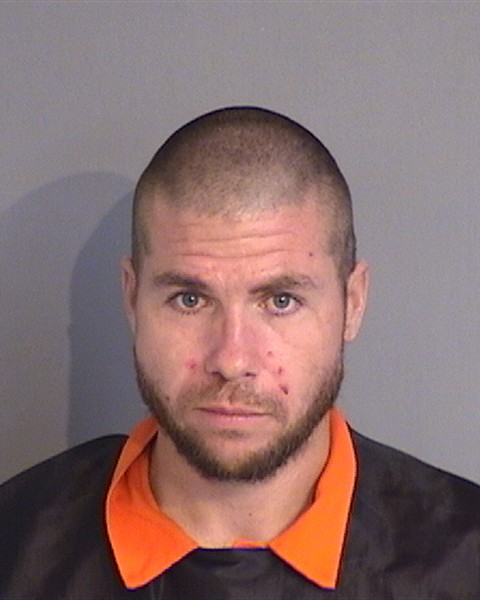 Booking photo of RYAN DUKE