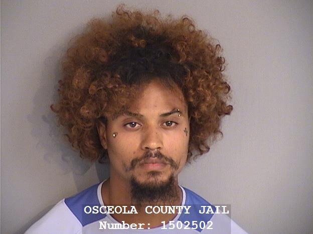 Booking photo - JOEMAL MANUEL AYALA - Osceola, Florida