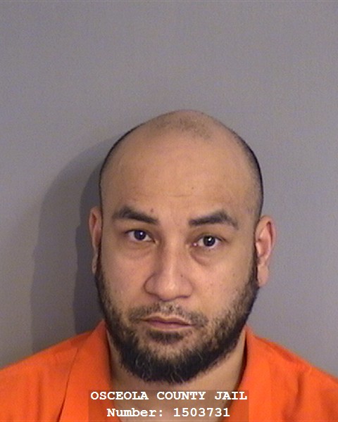 Booking photo - DONALD CLEVELAND - Osceola, Florida