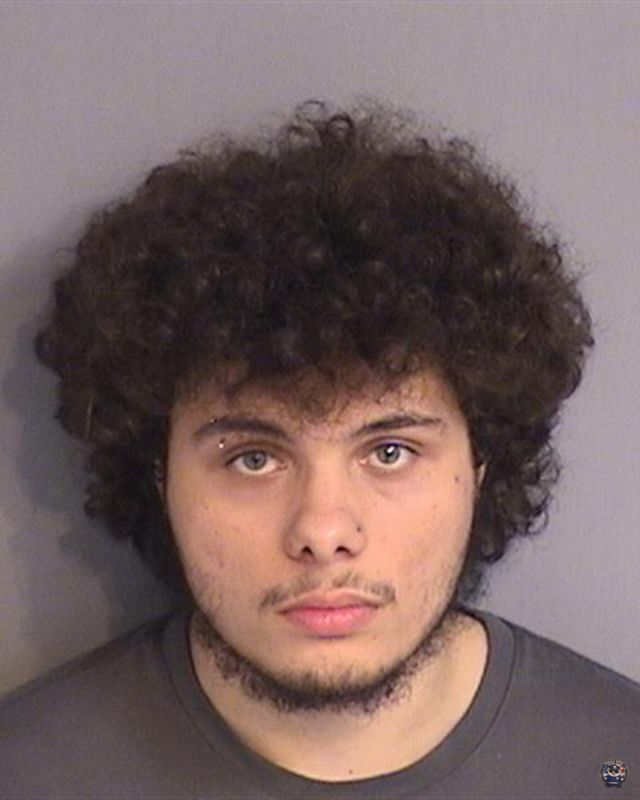 Booking photo of DENNIS C TURNER