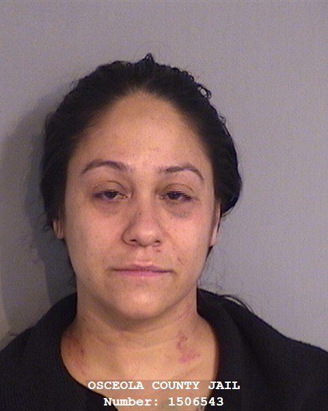 Booking photo - BARBARA GERENA - Osceola, Florida
