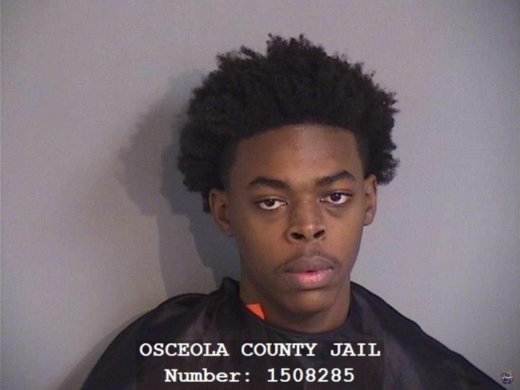 Booking photo of FELEECE BRYANT