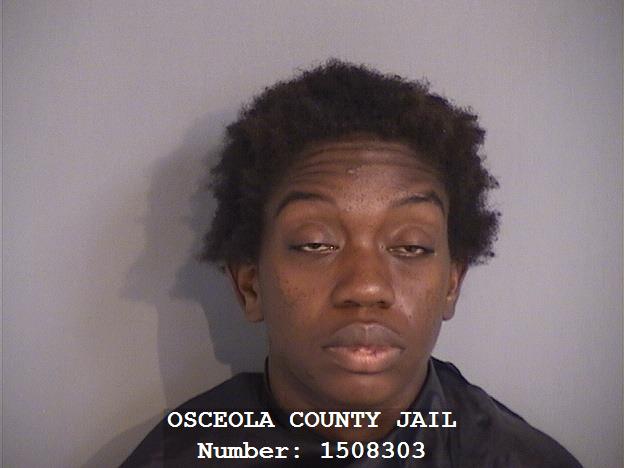 Booking photo - ILEANNA RACHEAL FIELDS - Osceola, Florida