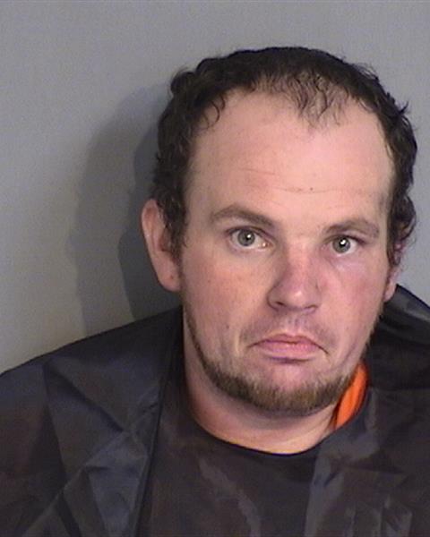 Booking photo of DAVID ARCHE