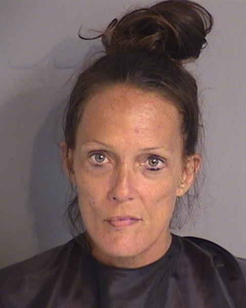 Booking photo - CATHY MARIE ANDERSON - Osceola, Florida