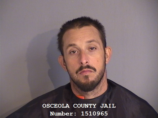 Booking photo - RYAN WILLIAM WILLOUGHBY - Osceola, Florida