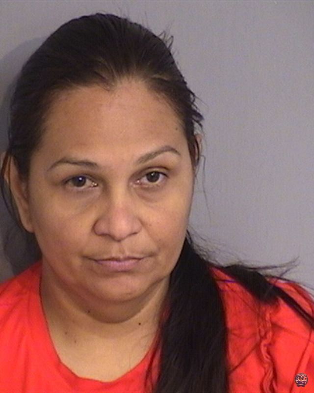 Booking photo of NAHIT CAROLINA CASTILLO