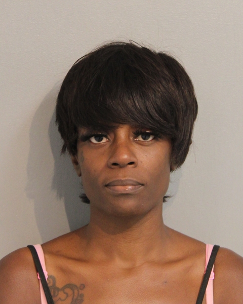 Booking photo of YVES VOLCY