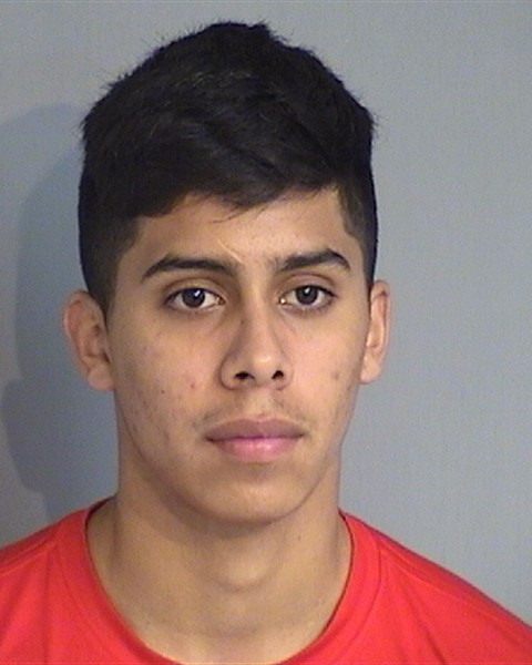 Booking photo - LORENZO CARVAJAL-DIAZ - Osceola, Florida