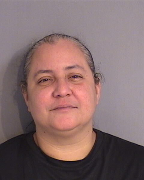 Booking photo - DAMARIS MERCADO-PAGAN - Osceola, Florida